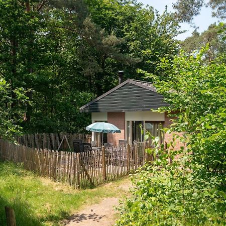 Comfort 6-Person Dog Bungalow In The Holiday Park Landal Heideheuvel Beekbergen Esterno foto